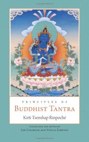Principles of Buddhist Tantra: A Commentary on Chöjé Ngawang Palden's *Illumination of the Tantric Tradition*