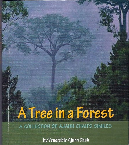 A Tree in a Forest: A Collection of Ajahn Chah's Similes